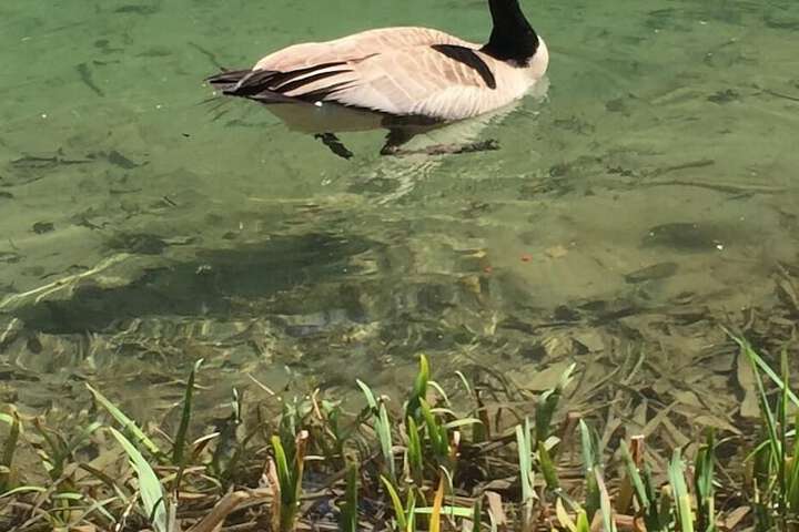 Hotel View 295 of 311