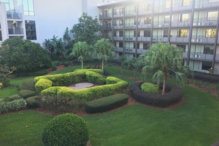 View from room