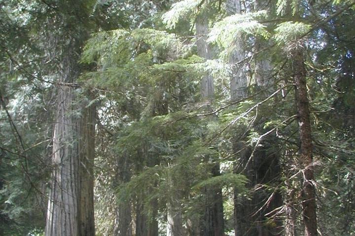 Outdoor Activities 79 of 188