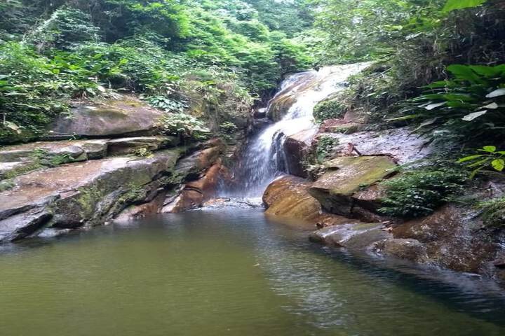 Property Grounds 22 of 24