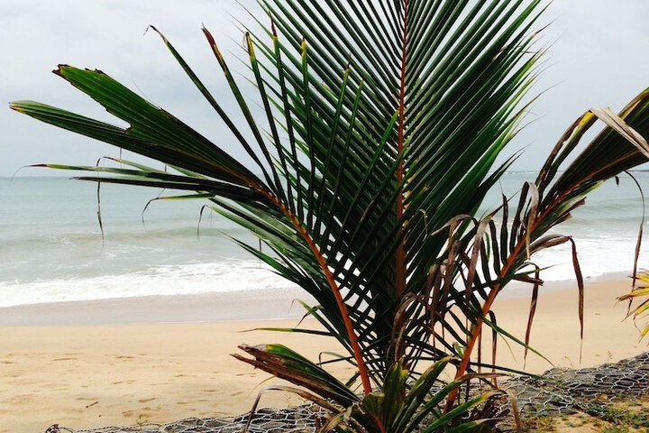 Beach 8 of 12