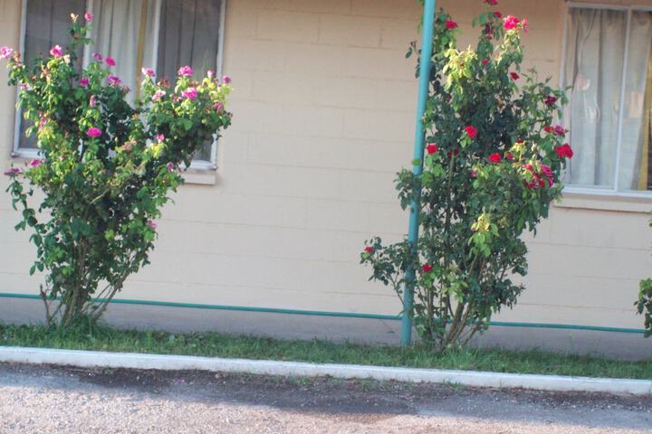 Property Grounds 34 of 40
