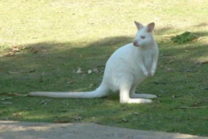 Hotel Exterior 3 of 5