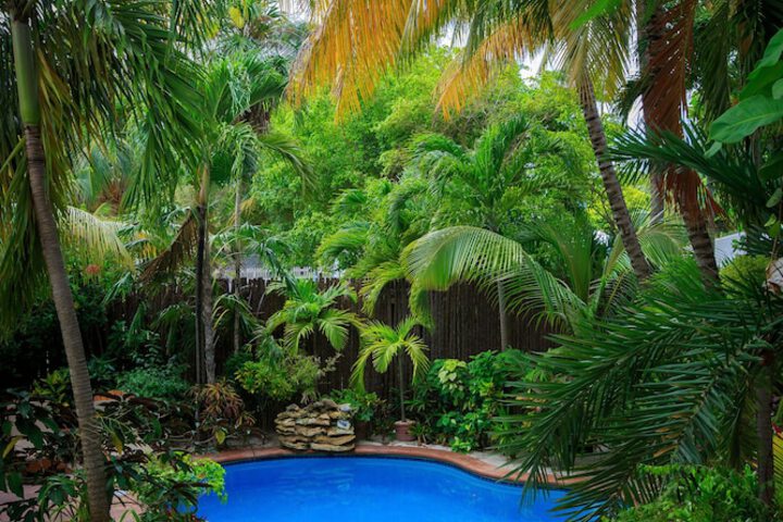 Pool 49 of 64