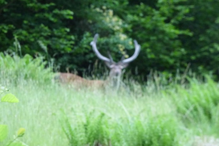 Property Grounds 28 of 34