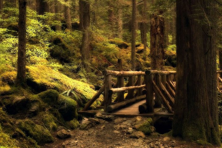 Hiking