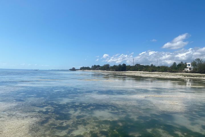 Beach 158 of 161