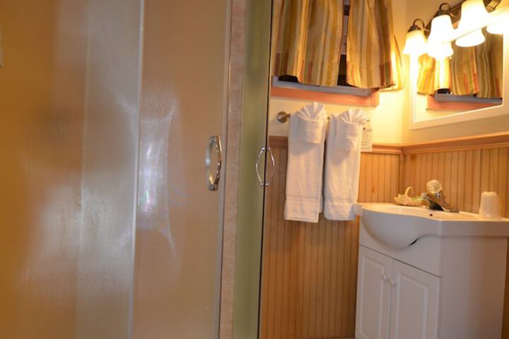Bathroom shower