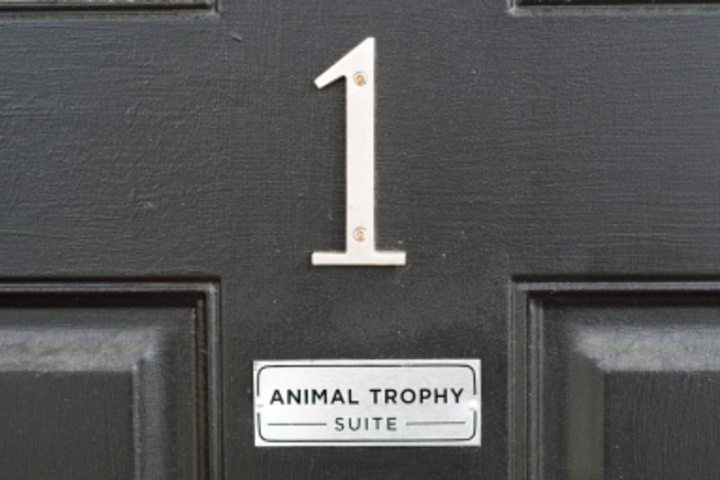 Room 539 of 671