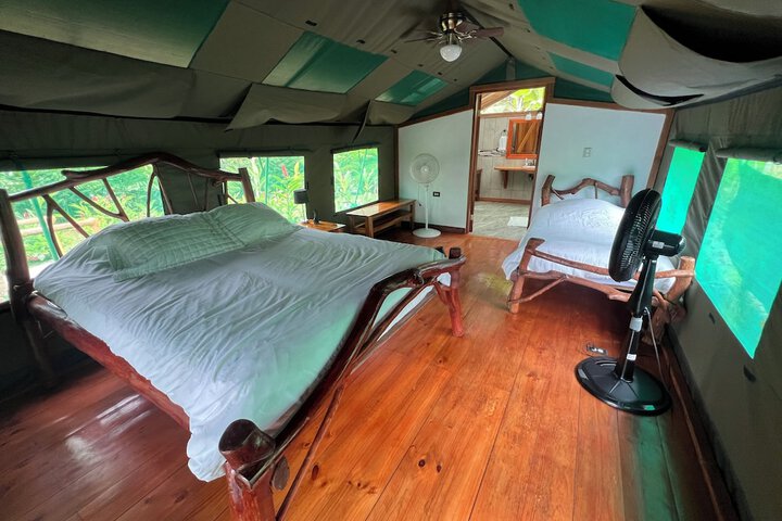 Room 6 of 19