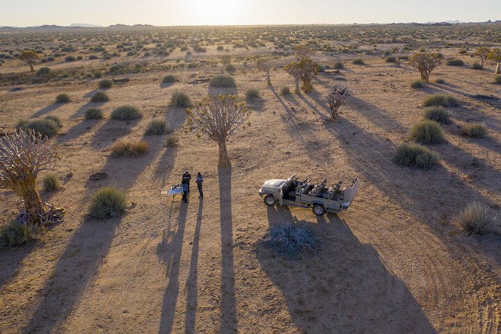 Safari