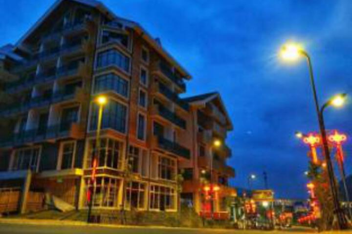 BuBuGaoHotel