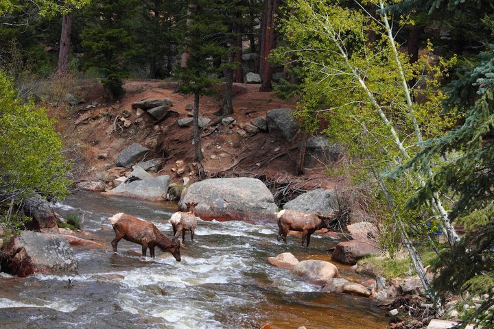 Property Grounds 155 of 183