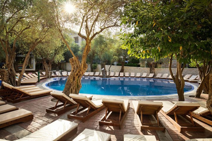 Hotel with Pool