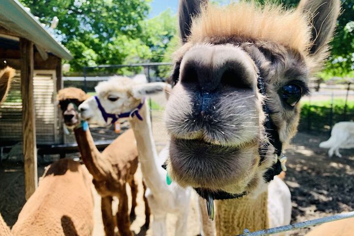 Property Grounds 49 of 67