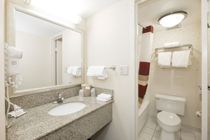 Double Deluxe 2 Beds (3 of 10)