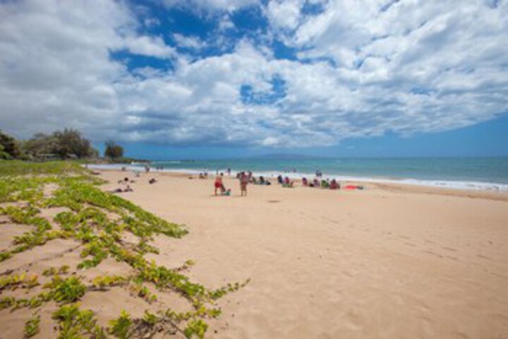 Beach 7 of 24