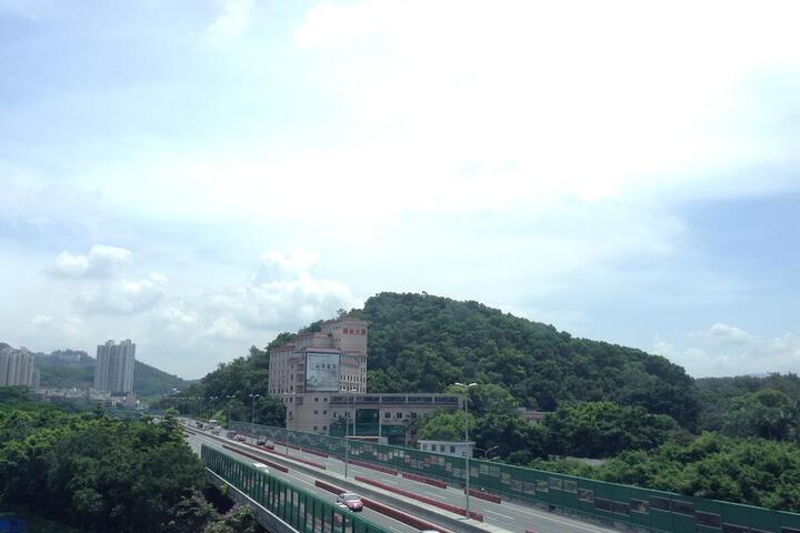 Photo 15