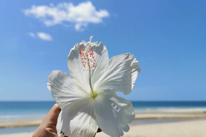 Beach 58 of 71