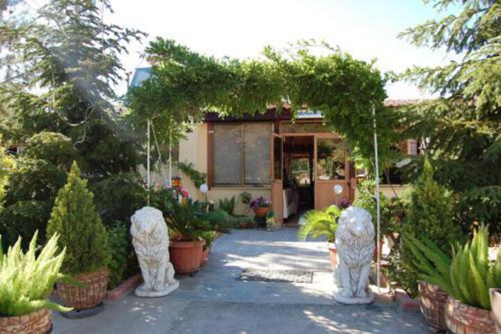 Photo 7