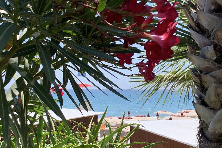 Beach 41 of 57
