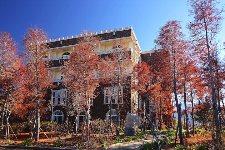 Hotel 56 of 67