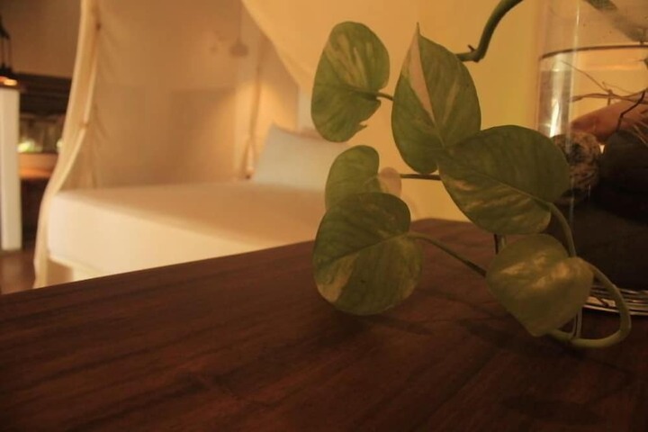 Room 13 of 72