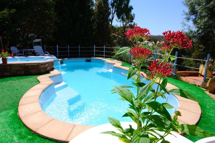Pool 79 of 197