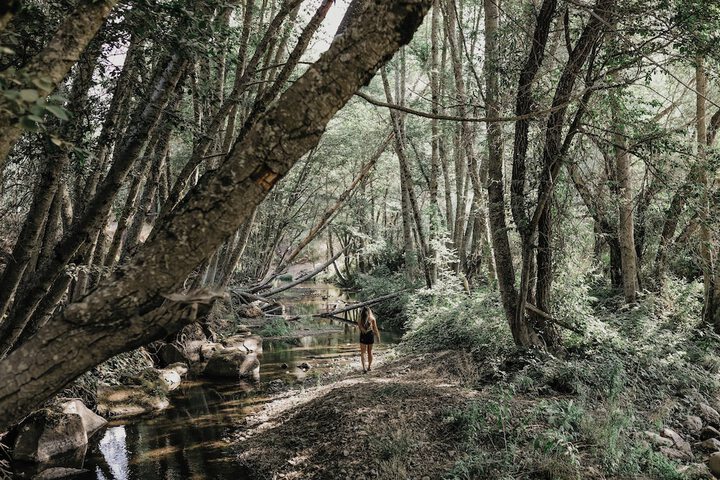 Property Grounds 106 of 118