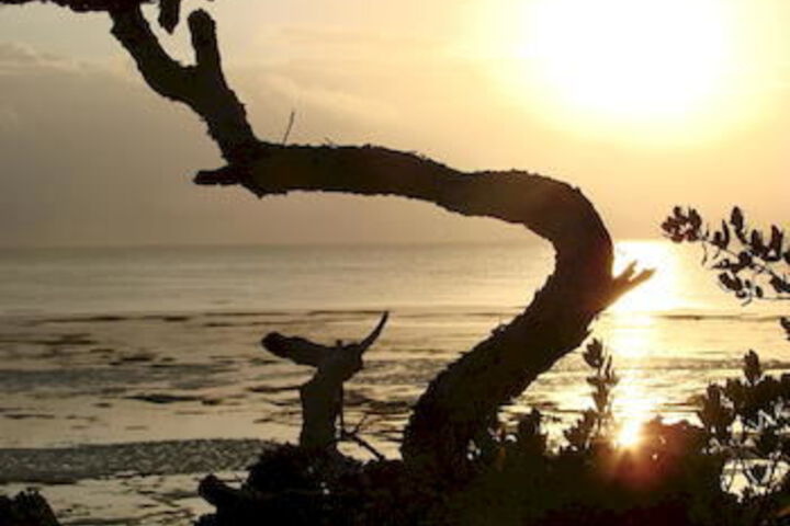 Beach 16 of 63