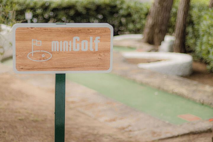 Mini-golf