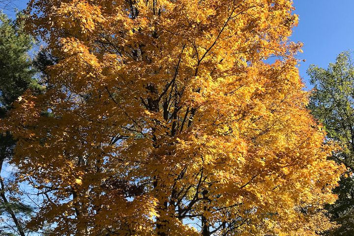 Property Grounds 65 of 81