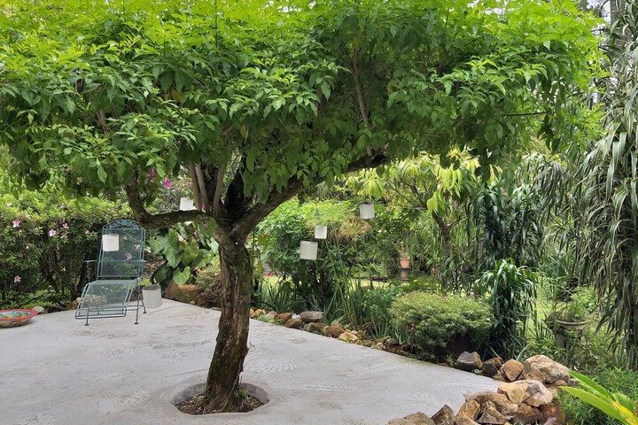 Terrace/Patio 29 of 107