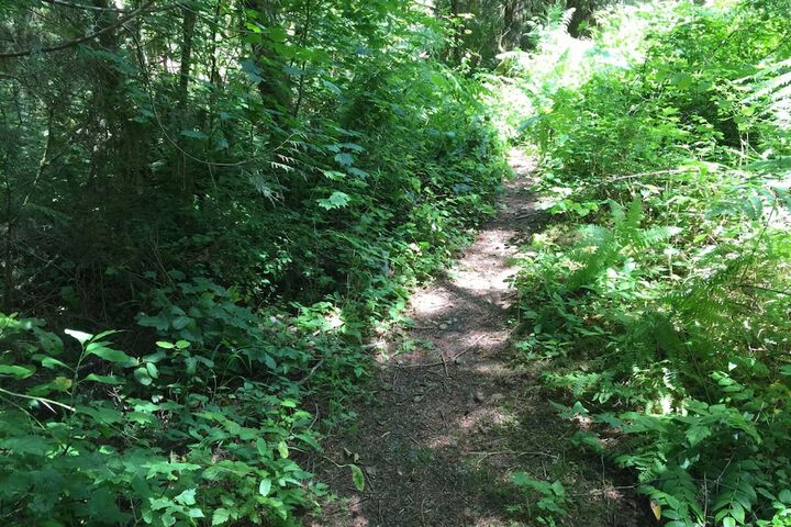 Outdoor Activities 17 of 26