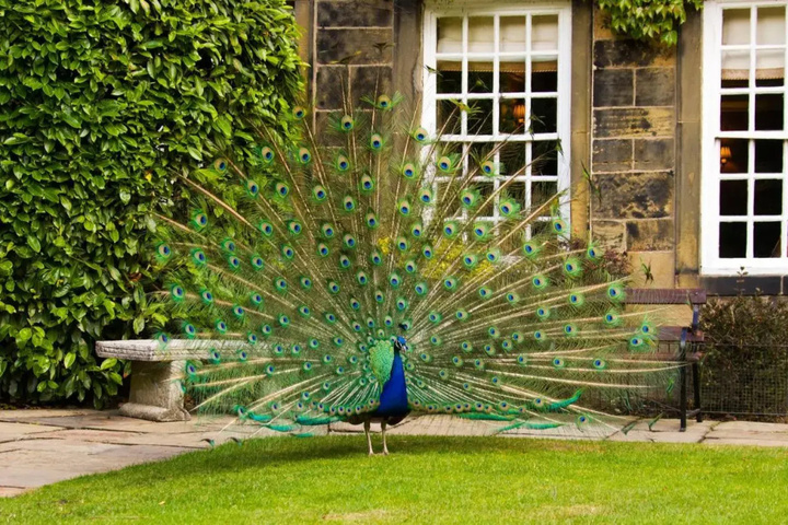 CBH Whitley Hall Country House Hotel