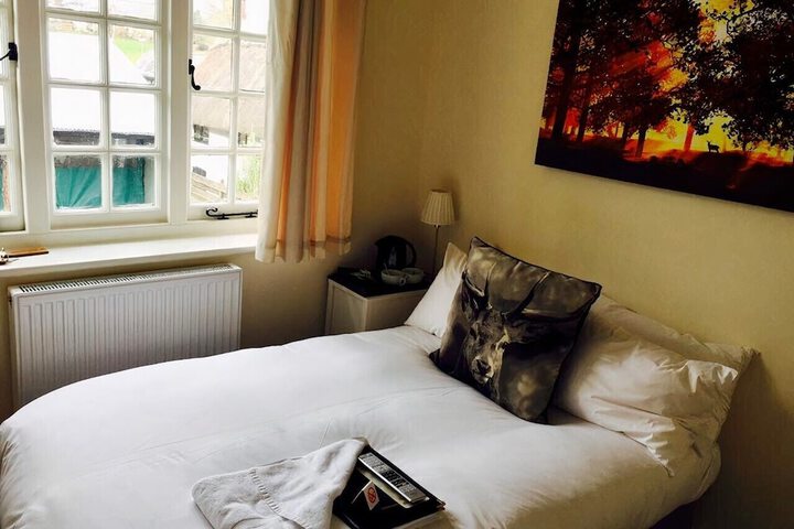 Room 5 of 22