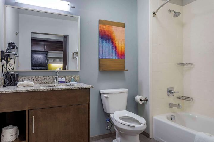 1 King Bed Suite (8 of 14)