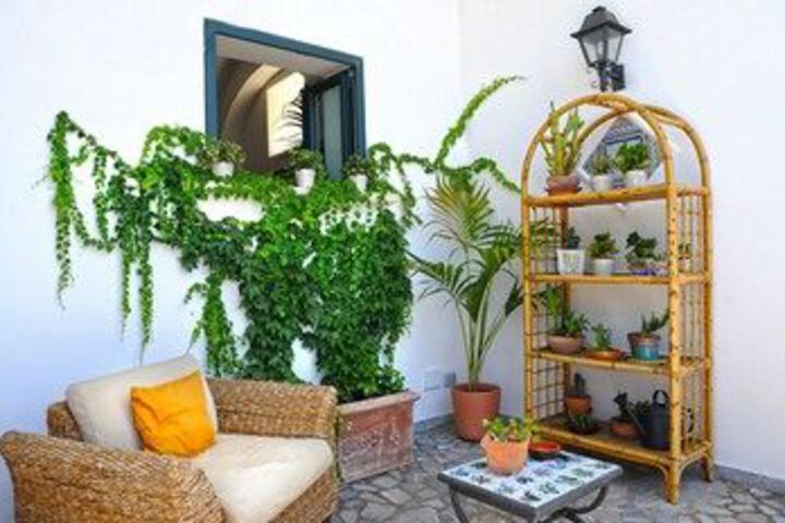 Terrace/Patio 32 of 32