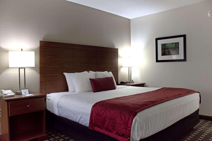 1 King Bed Microwave and Refrigerator WiFi Continental Breakfast (11 of 34)