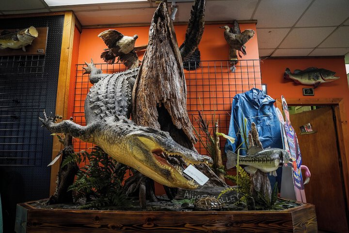 Gift Shop 8 of 12