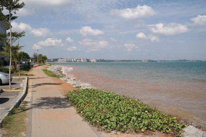 Beach 55 of 59