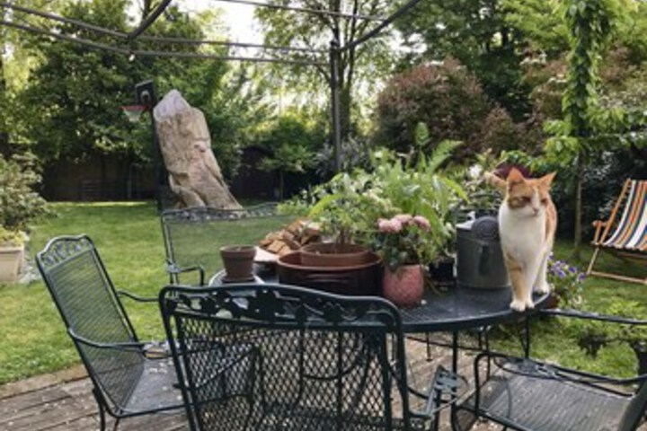 Terrace/Patio 2 of 20