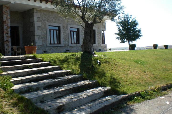 Photo 15