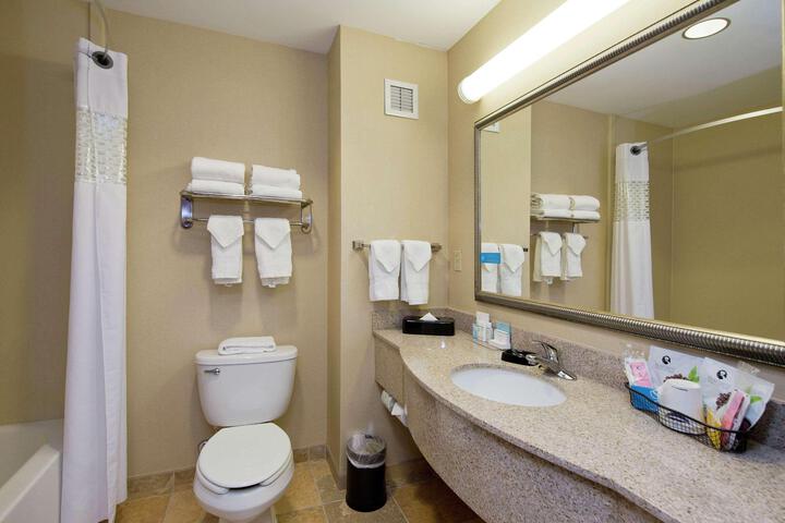 1 King Mobility Accessible Roll in Shower (8 of 13)