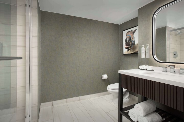 Bathroom shower