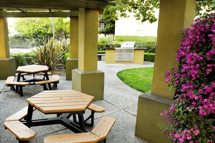 BBQ/picnic area