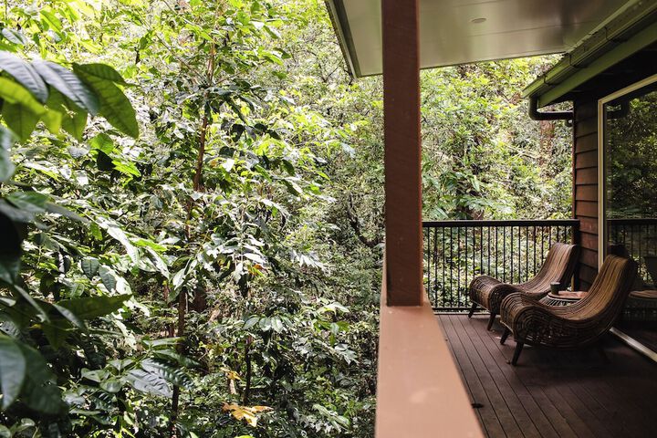Terrace/Patio 110 of 119
