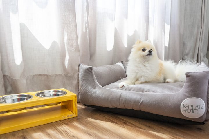 Pet Friendly 84 of 104