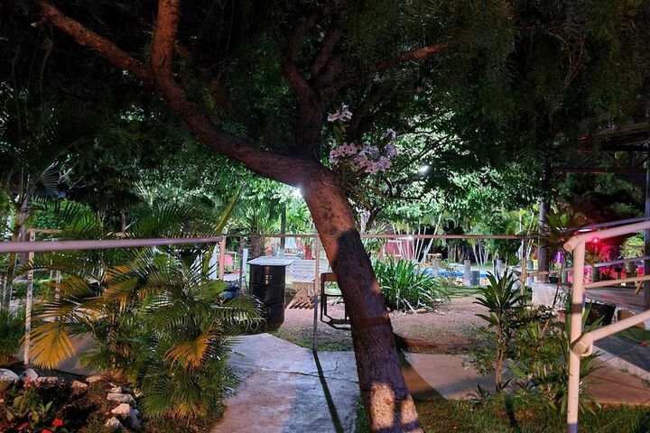 Property Grounds 47 of 56