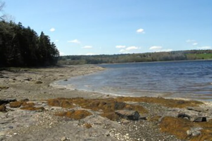 Beach 10 of 68